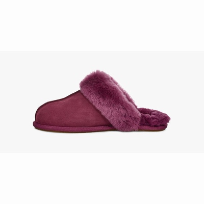 Chinelos UGG Scuffette II Mulher Roxo | PT-EIHGF